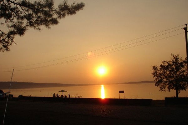 Зиля Гарифуллина