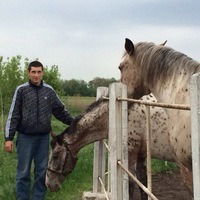 Евгений Викторович