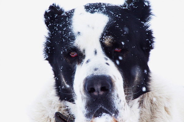 Серега -=Rastomanbi4=