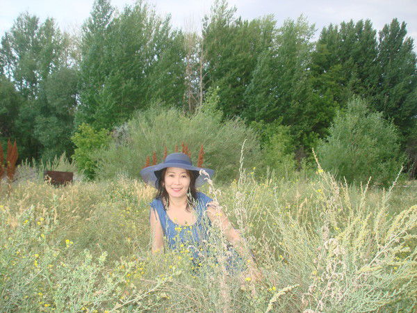 Меруеш Башай