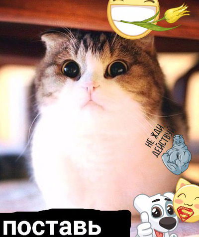 Равиль Агжигитов