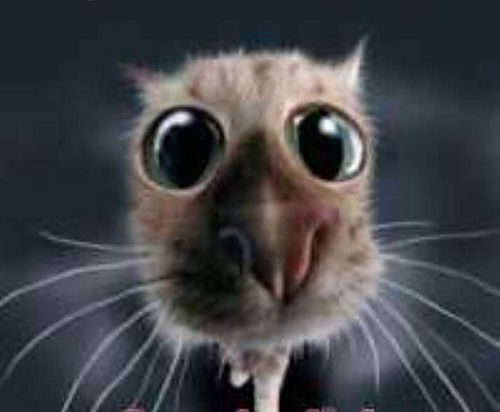 Игорь Хижняков