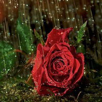 Людмила Храмкова