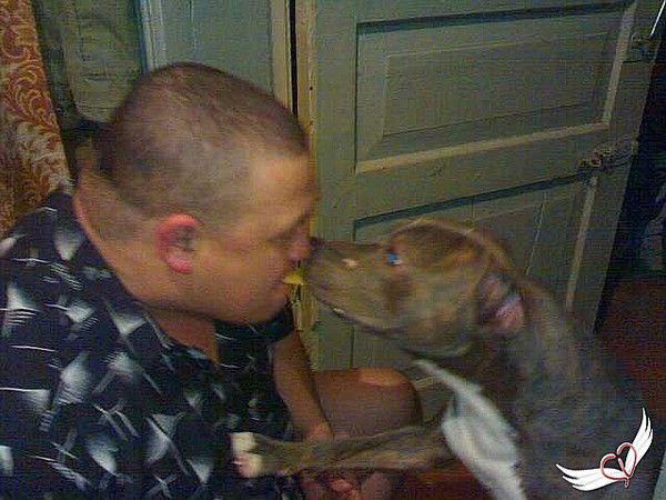 Алексей Ярдов