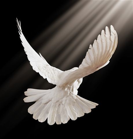 Ольга Красулина