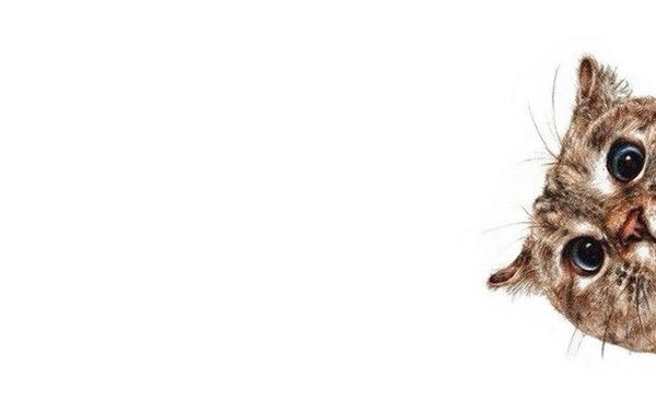 Ирина Аниканова