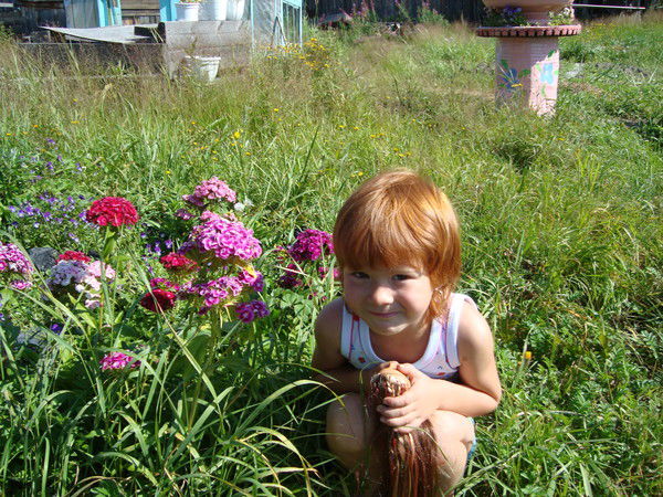 Николай Куревлев