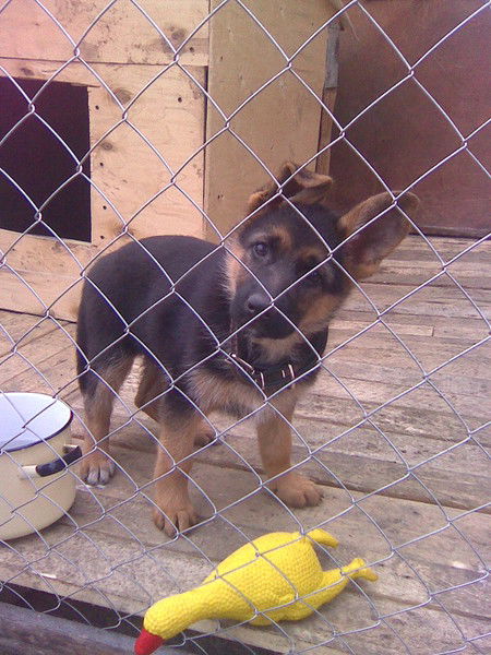 Юрий Крутов