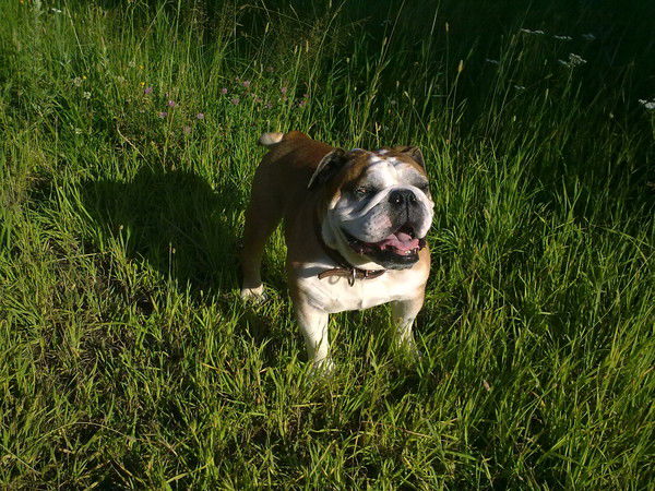 Тамара Ганина