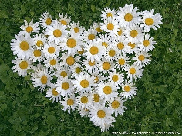 Катерина Пименова