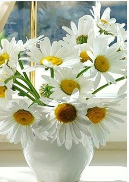 Венера Вафина