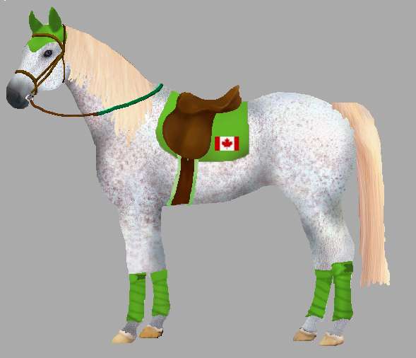 Яна Бурдина