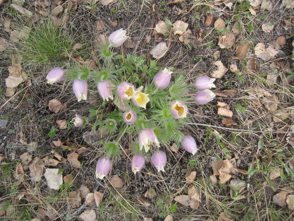 Людмила Разуванова