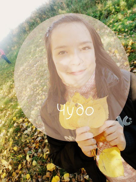 Резеда Мехоношина