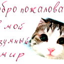 Салон Сокол