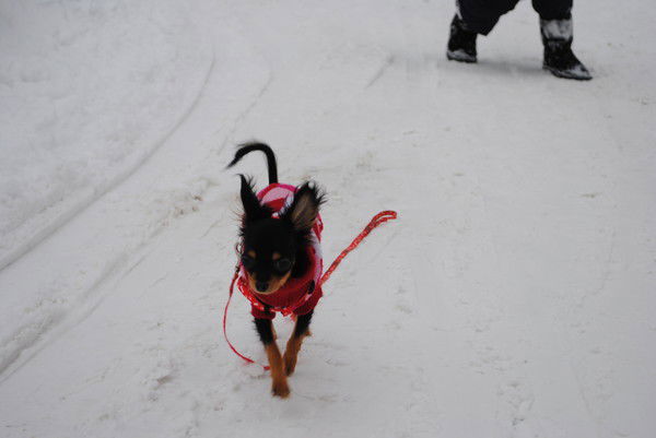 Настасья ________