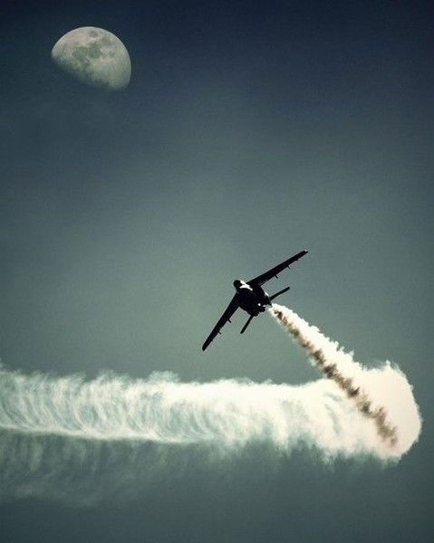 Марина Чернова