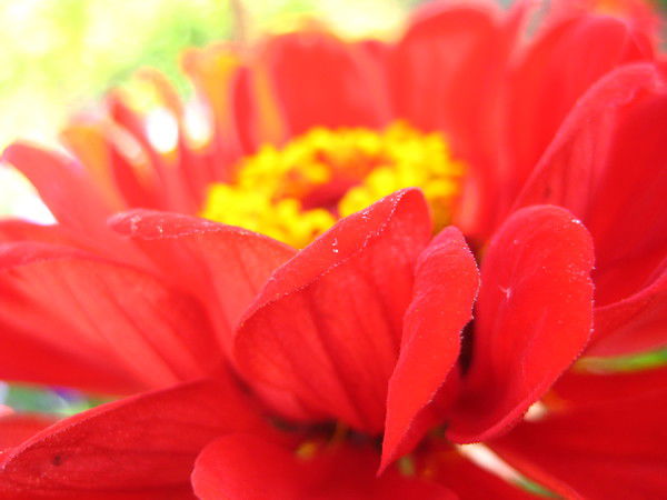 Мария Якименко