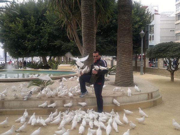 Владимир Никифоров