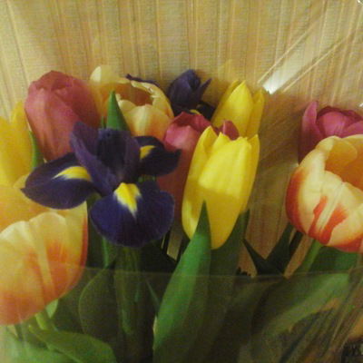 Роза Магизянова