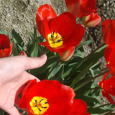 Улжан Минайдар