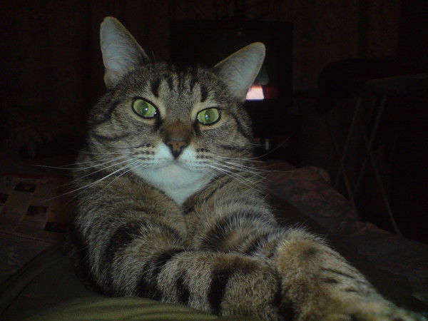 Сергей Украинец