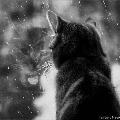 Валерия Юшкова