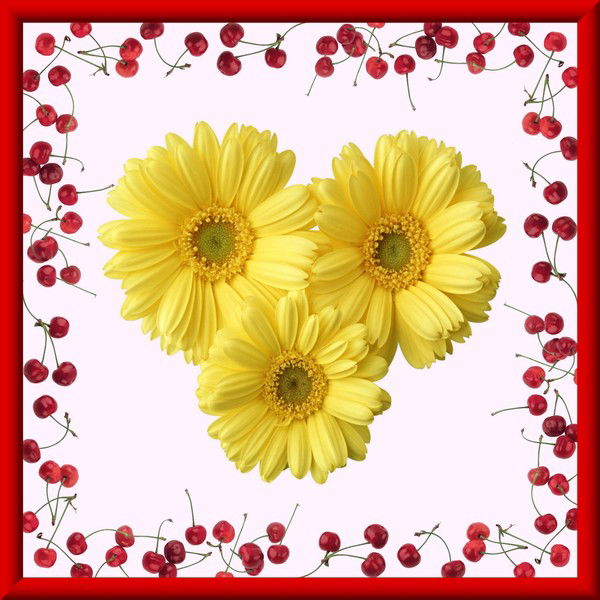 Юлия Мищенко