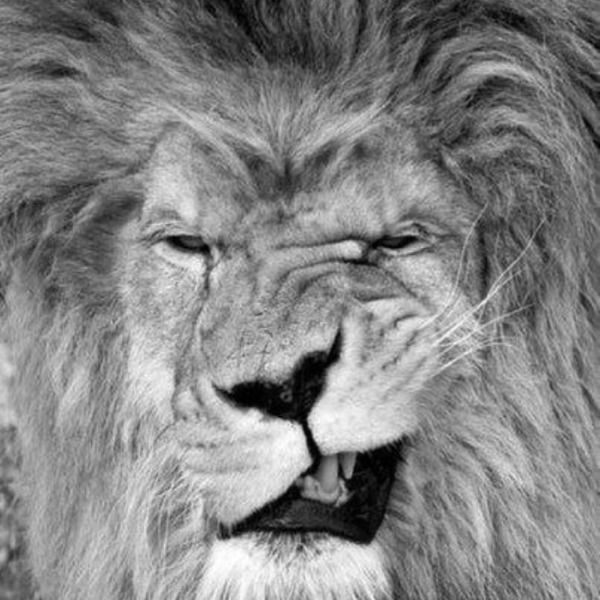 Марина Пахомова