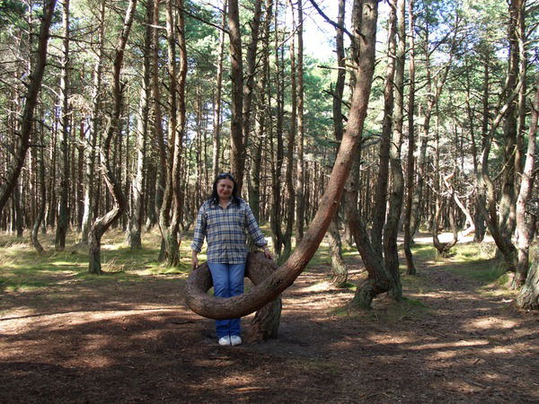 Елена Антонова