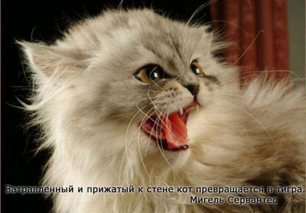 Наталья Должикова