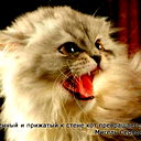 Наталья Должикова