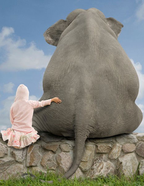 Павел Болендер