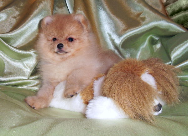 Анна Давыдова