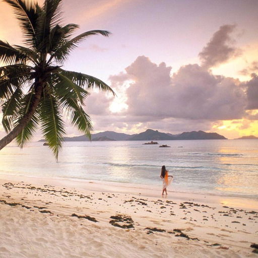 Денис Шипицин