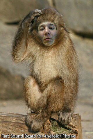 Дамир Исекеиев