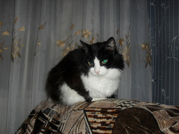 Аскар Нурбеков