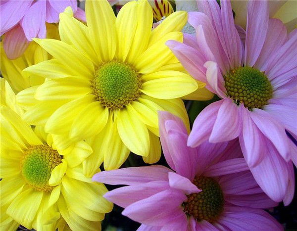 Марина Минигалеева