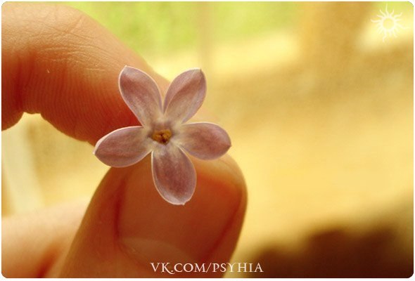 Неизвестно Неизвестно