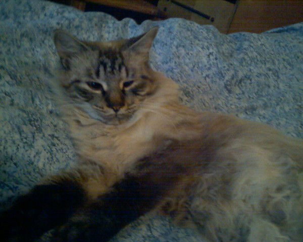 Марина Кирчевская