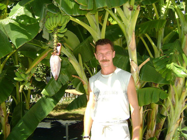 Сергей Прудников