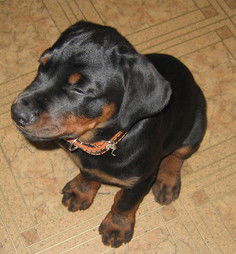 Неизвестно Неизвестно