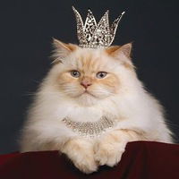 Алекссей Буторин