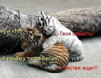 чем занимаешься да ничем работаю. Смотреть фото чем занимаешься да ничем работаю. Смотреть картинку чем занимаешься да ничем работаю. Картинка про чем занимаешься да ничем работаю. Фото чем занимаешься да ничем работаю