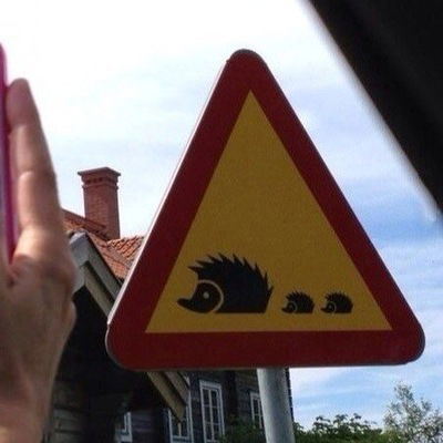 Андрей Шестаков