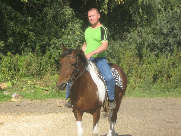 Алексей Сергеев