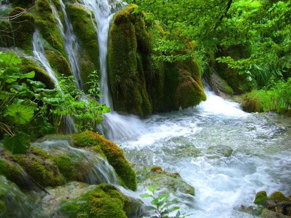 Резеда Ахмадеева