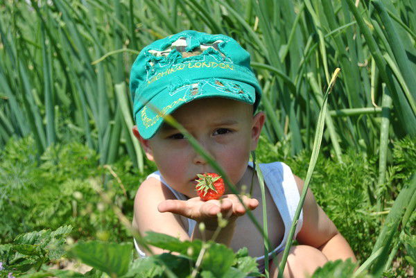 Селиверстова Анна