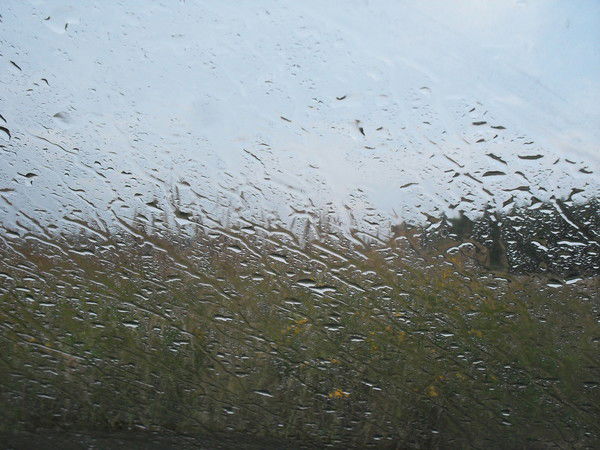 Наталия Майорова