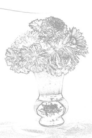 Олег Парипа